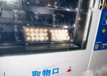 鸡蛋自动售货机的展示柜