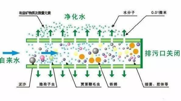 净水机有什么用?