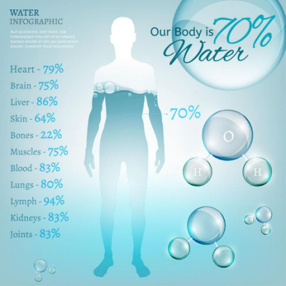 人体的60％～70％是由水分构成的