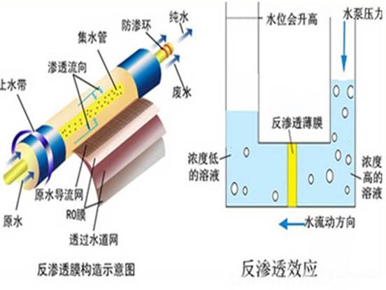 净水器的过滤功能