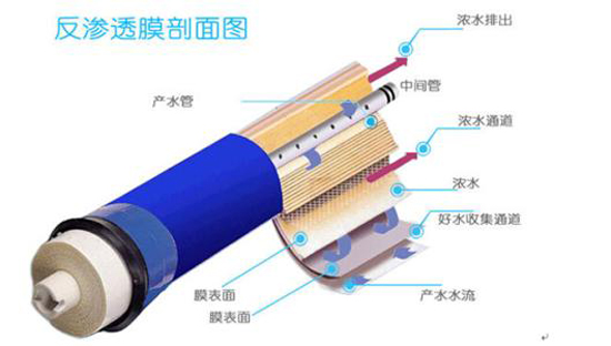 反渗透膜剖析图