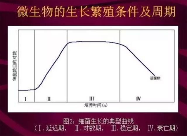 微生物的生长与繁殖条件及周期