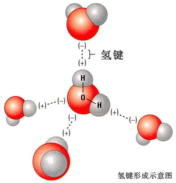 氢键